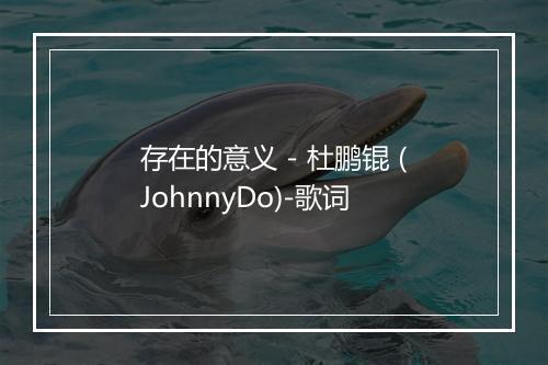 存在的意义 - 杜鹏锟 (JohnnyDo)-歌词