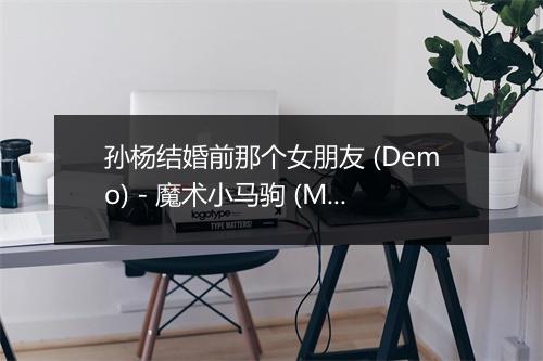 孙杨结婚前那个女朋友 (Demo) - 魔术小马驹 (Magic Pony)-歌词