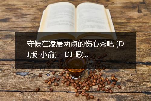 守候在凌晨两点的伤心秀吧 (DJ版-小俞) - DJ-歌词