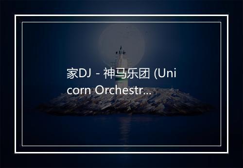 家DJ - 神马乐团 (Unicorn Orchestra)-歌词