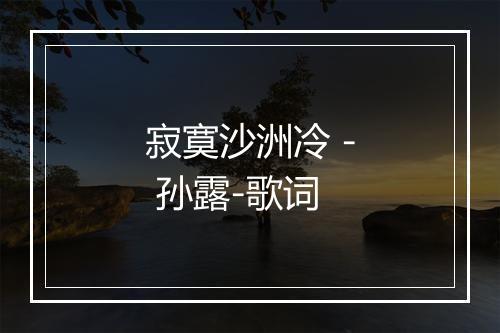 寂寞沙洲冷 - 孙露-歌词