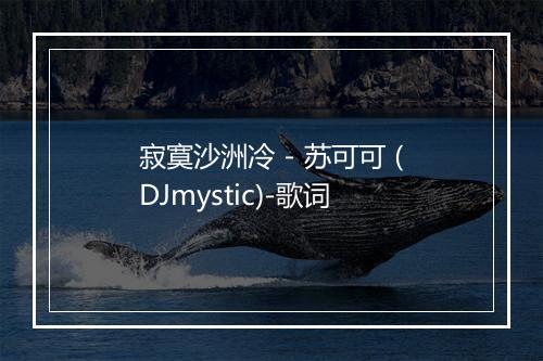 寂寞沙洲冷 - 苏可可 (DJmystic)-歌词