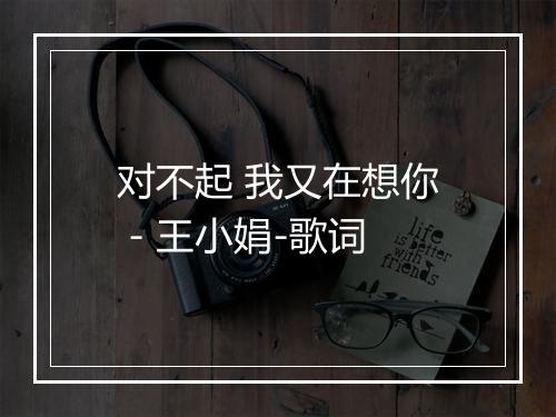 对不起 我又在想你 - 王小娟-歌词