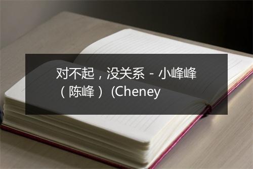 对不起，没关系 - 小峰峰（陈峰） (Cheney