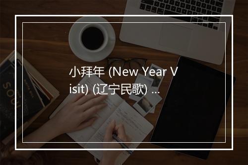 小拜年 (New Year Visit) (辽宁民歌) - 廖莎-歌词