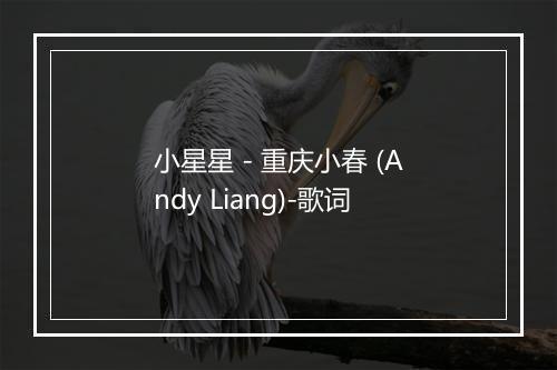 小星星 - 重庆小春 (Andy Liang)-歌词