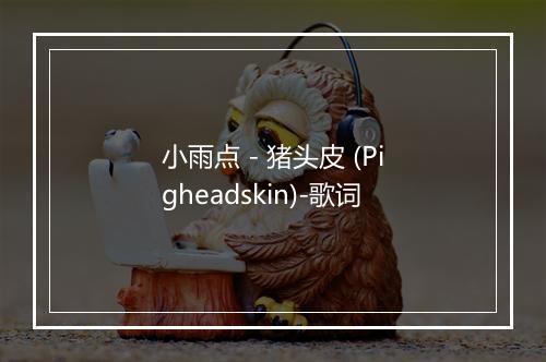 小雨点 - 猪头皮 (Pigheadskin)-歌词