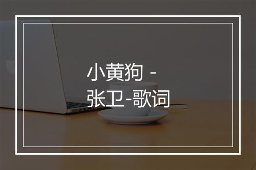 小黄狗 - 张卫-歌词