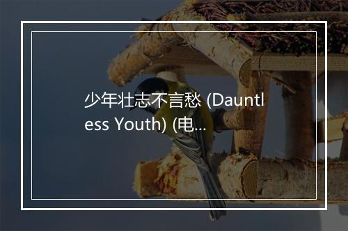 少年壮志不言愁 (Dauntless Youth) (电视剧《便衣警察》主题曲) - 刘欢-歌词_1