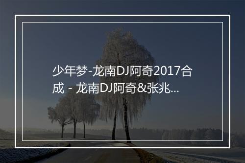 少年梦-龙南DJ阿奇2017合成 - 龙南DJ阿奇&张兆鸿-歌词