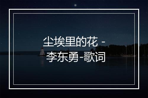 尘埃里的花 - 李东勇-歌词