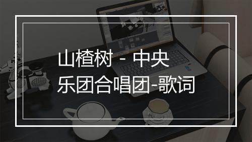 山楂树 - 中央乐团合唱团-歌词