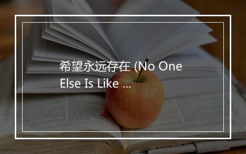 希望永远存在 (No One Else Is Like You) (《纳米神兵》动画主题曲) - Christine welch (克丽丝叮)-歌词