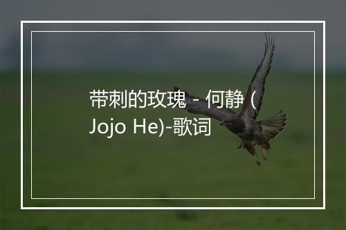 带刺的玫瑰 - 何静 (Jojo He)-歌词