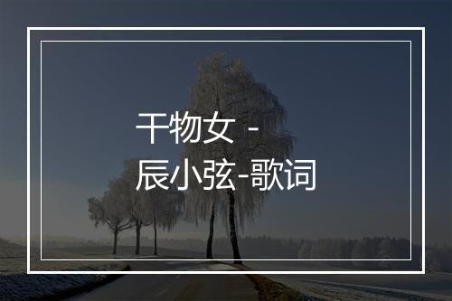 干物女 - 辰小弦-歌词