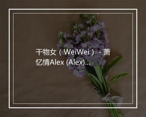 干物女（WeiWei） - 萧忆情Alex (Alex)-歌词