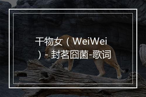 干物女（WeiWei）- 封茗囧菌-歌词