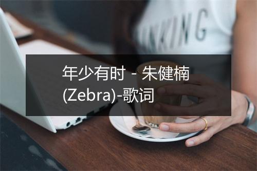 年少有时 - 朱健楠 (Zebra)-歌词