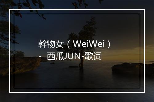 幹物女（WeiWei） -  西瓜JUN-歌词