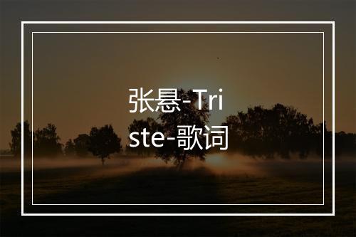 张悬-Triste-歌词