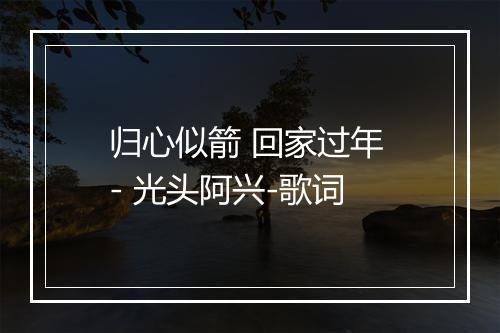 归心似箭 回家过年 - 光头阿兴-歌词