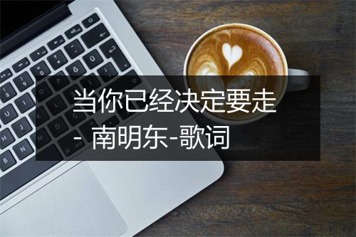 当你已经决定要走 - 南明东-歌词