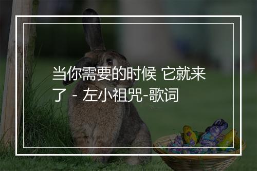 当你需要的时候 它就来了 - 左小祖咒-歌词