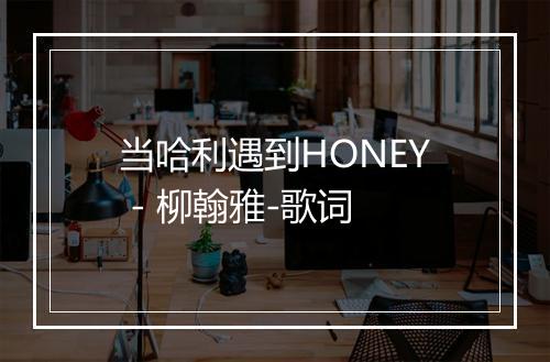 当哈利遇到HONEY - 柳翰雅-歌词