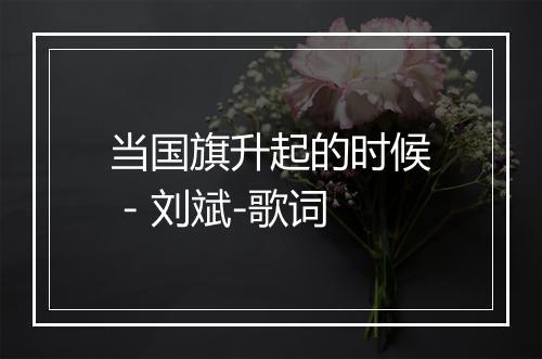 当国旗升起的时候 - 刘斌-歌词