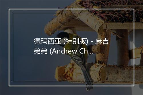 德玛西亚 (特别版) - 麻吉弟弟 (Andrew Chou)-歌词