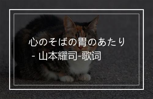 心のそばの胃のあたり - 山本耀司-歌词