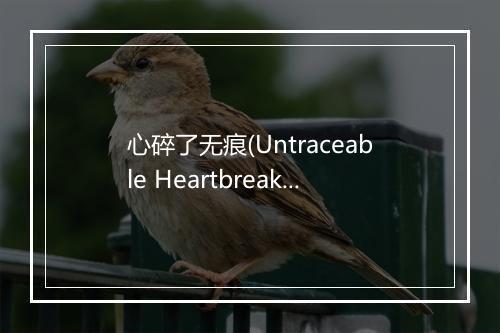 心碎了无痕(Untraceable Heartbreak) - 张学友-歌词