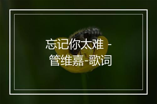 忘记你太难 - 管维嘉-歌词