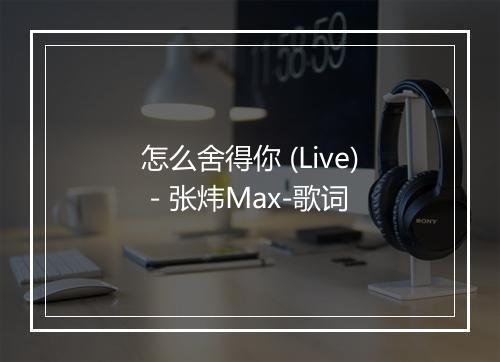 怎么舍得你 (Live) - 张炜Max-歌词