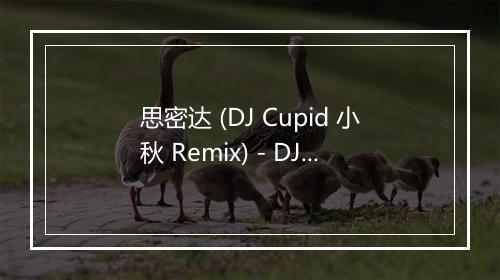 思密达 (DJ Cupid 小秋 Remix) - DJ-歌词