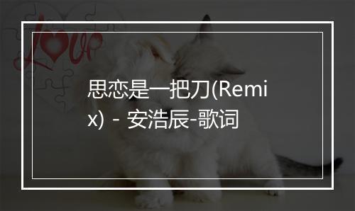 思恋是一把刀(Remix) - 安浩辰-歌词