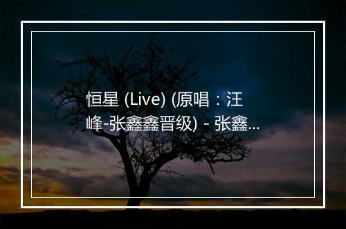 恒星 (Live) (原唱：汪峰-张鑫鑫晋级) - 张鑫鑫-歌词