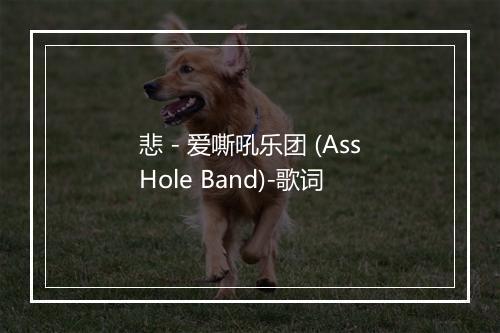 悲 - 爱嘶吼乐团 (AssHole Band)-歌词