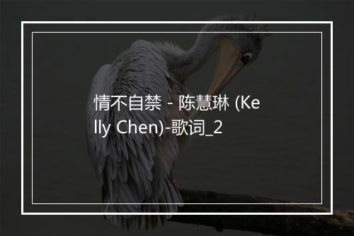 情不自禁 - 陈慧琳 (Kelly Chen)-歌词_2