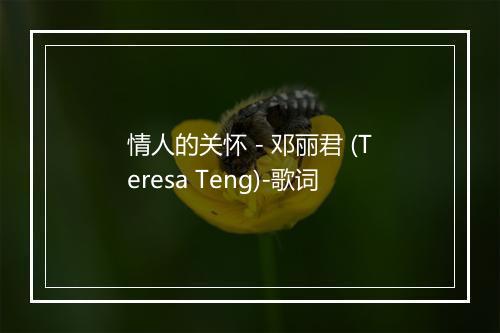 情人的关怀 - 邓丽君 (Teresa Teng)-歌词