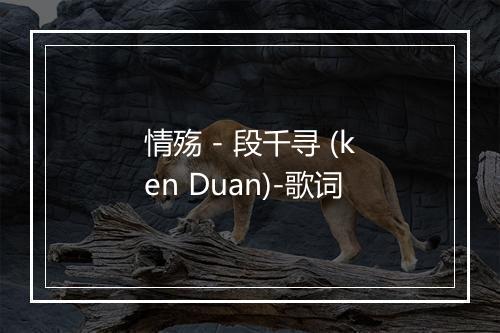 情殇 - 段千寻 (ken Duan)-歌词