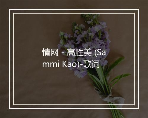 情网 - 高胜美 (Sammi Kao)-歌词