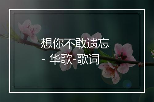 想你不敢遗忘 - 华歌-歌词