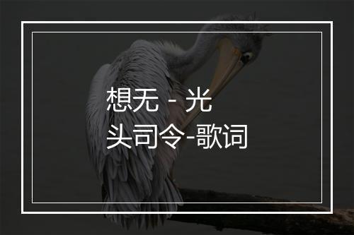 想无 - 光头司令-歌词