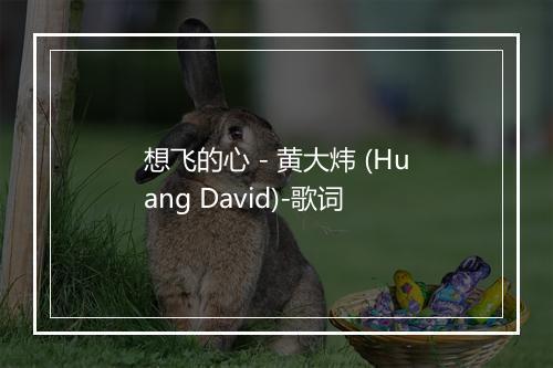 想飞的心 - 黄大炜 (Huang David)-歌词