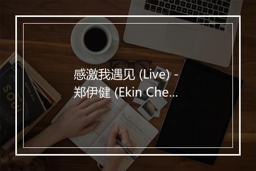 感激我遇见 (Live) - 郑伊健 (Ekin Cheng)-歌词