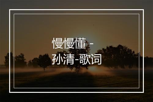 慢慢懂 - 孙清-歌词