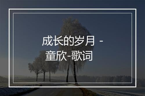 成长的岁月 - 童欣-歌词