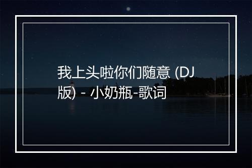 我上头啦你们随意 (DJ版) - 小奶瓶-歌词