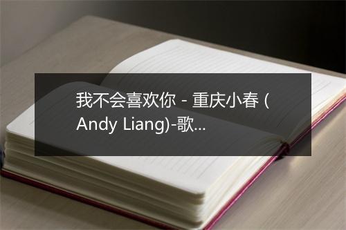 我不会喜欢你 - 重庆小春 (Andy Liang)-歌词